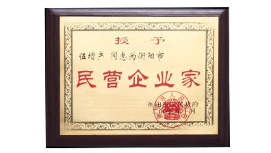 民營(yíng)企業(yè)家