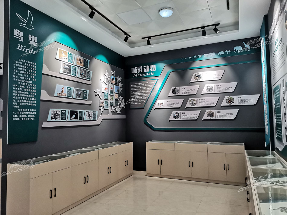 研學(xué)館鳥類、哺乳動(dòng)物展廳設(shè)計(jì)制作